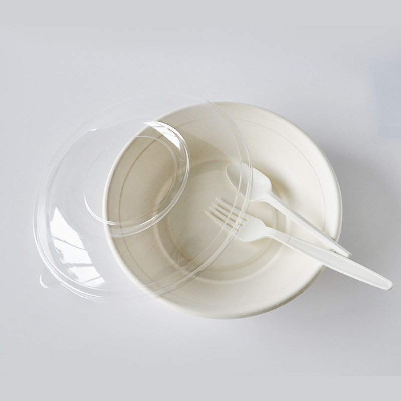 Disposable Biodegradable 24oz bowl for dinner use