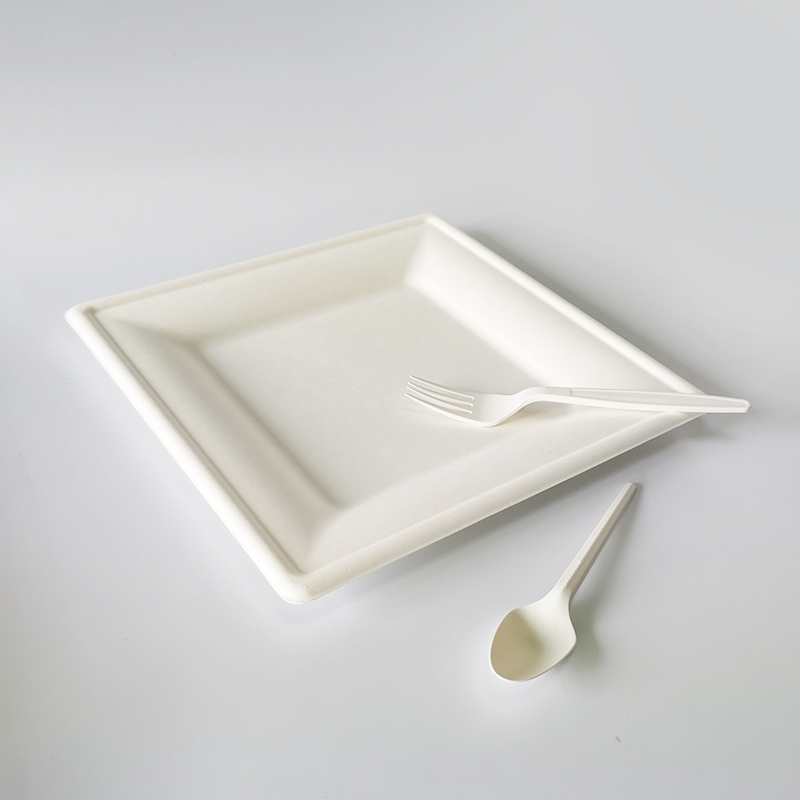 Biodegradable 10 inch square plate for dinner