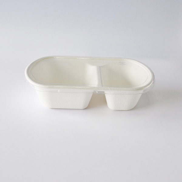 Y-37-1000TY Ecofriendly paper pulp sugarcane bagasse tableware container plates
