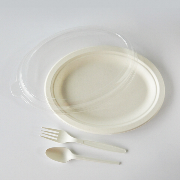 Disposable biodegradable oval plate for dinner