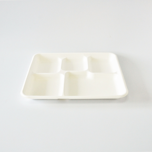 Biodegradable lunch box with 5 compartment