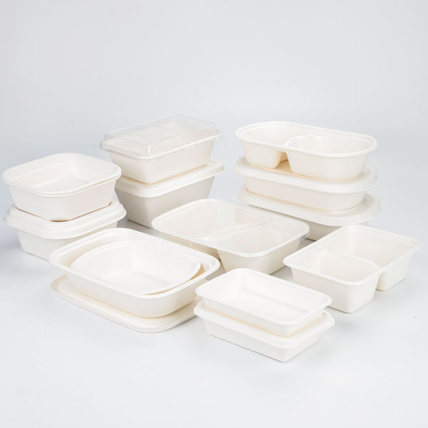 Disposable sugarcane bagasse Fiber Pulp take away/compartment collection 