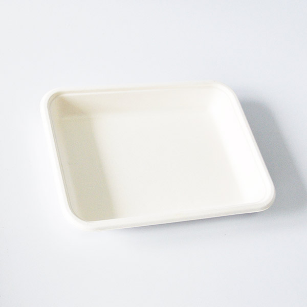Yopack T023 Bagasse Disposable Packaging Trays