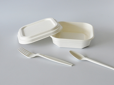 Pulp molding application field 1: plant fiber disposable degradable tableware food packaging container
