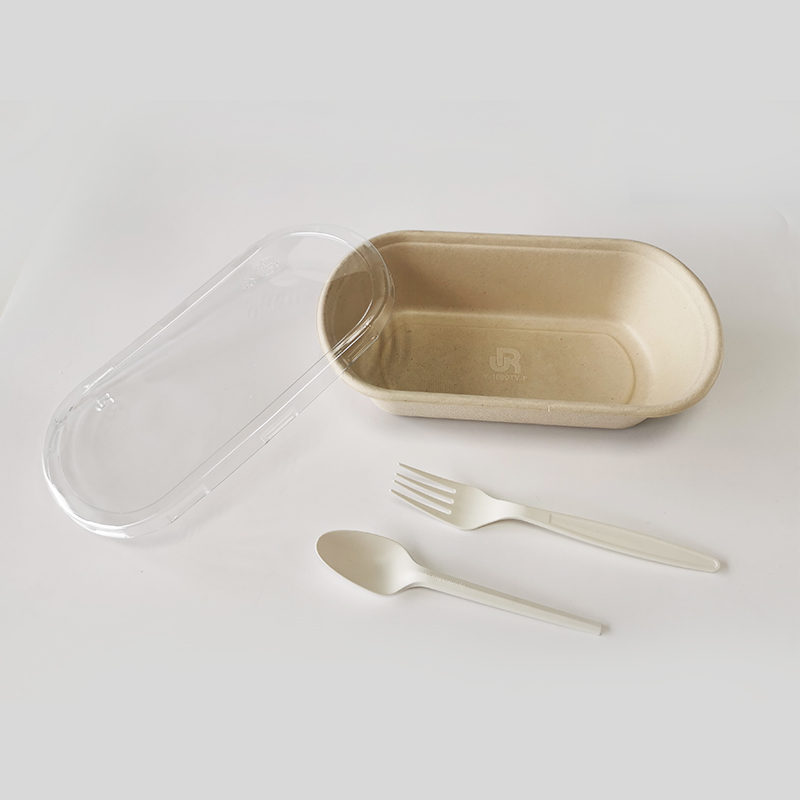 Disposable sugarcane bagasse Fiber Pulp take out box Tableware Y-1000TY-F