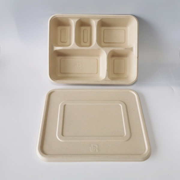 Disposable take away sugarcane bagasse food box without lid Y-5DGF-L