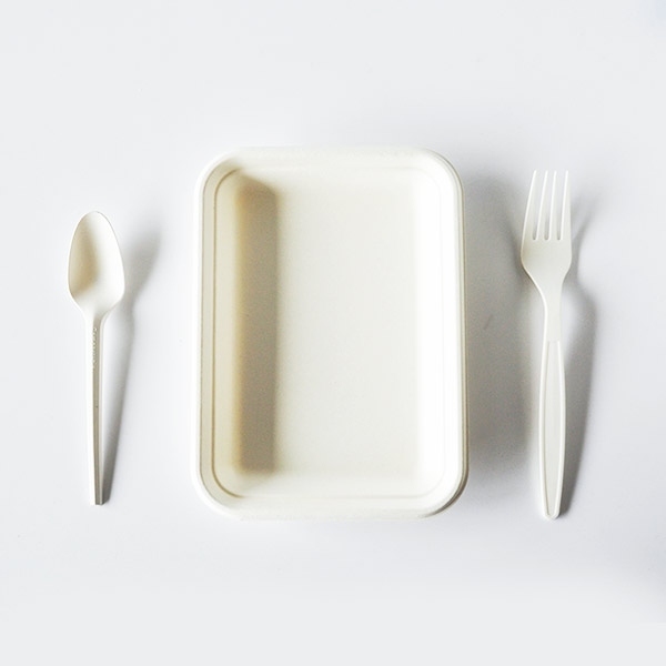 Hot Sale Rectangle Sugarcane Bagasse Food Tray