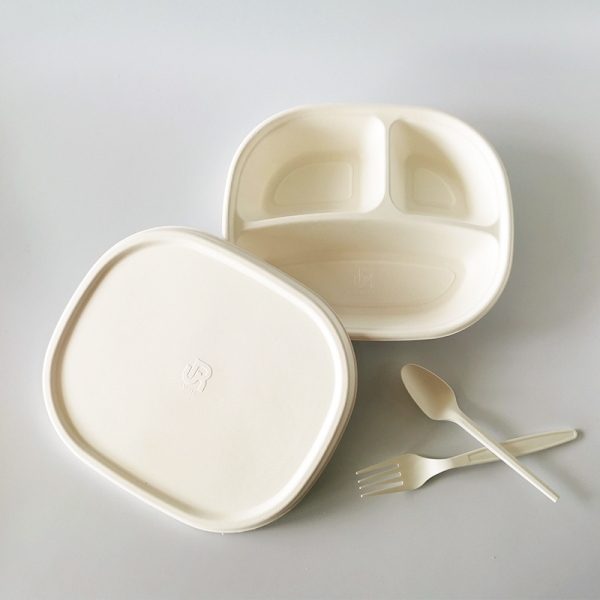 Biodegradable Molded Fiber Pulp sugarcane bagasse 3-div container