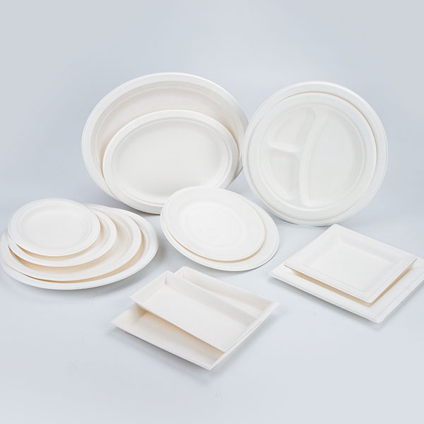 Disposable sugarcane bagasse Fiber Pulp plate collection