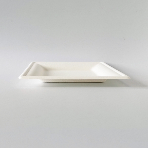 P033 biodegradable Sugarcane plate 6inch 8inch 10inch bagasse plate