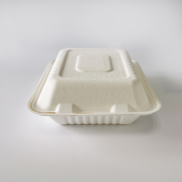 8″ Biodegradable sugarcane bagasse paper lunch box