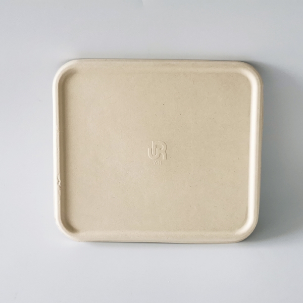 Y-4MGF Factory Price Eco Bio Compostable sugarcane bagasse lunch box