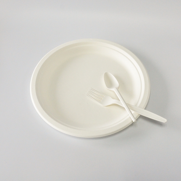 Compostable Sugarcane Biodegradable Disposable Bagasse plate