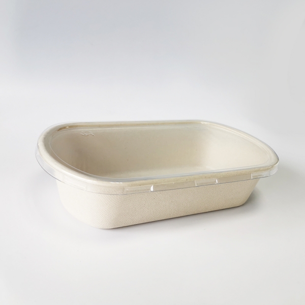 Disposable sugarcane bagasse Fiber Pulp take out box Tableware Y-1000TY-F