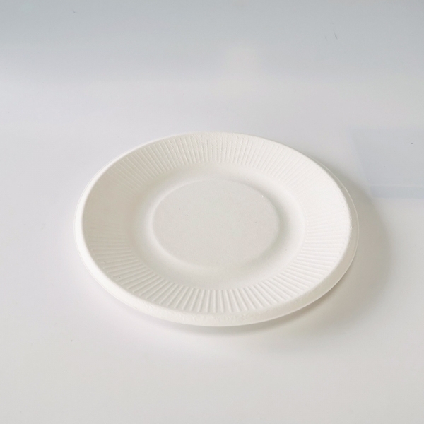 P003 biodegradable and compostable sugarcane disposable paper plate