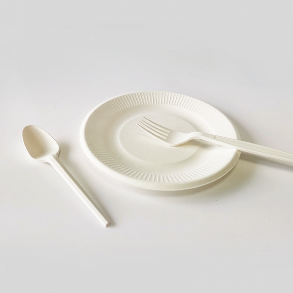 High Quality Standard Sugarcane Bagasse Dinner Plate P002