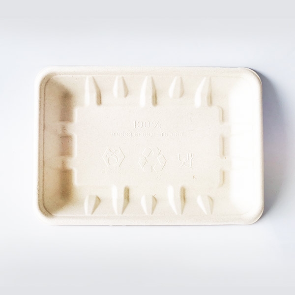 High Quality Biodegradable Disposable Sugarcane Bagasse Paper tray