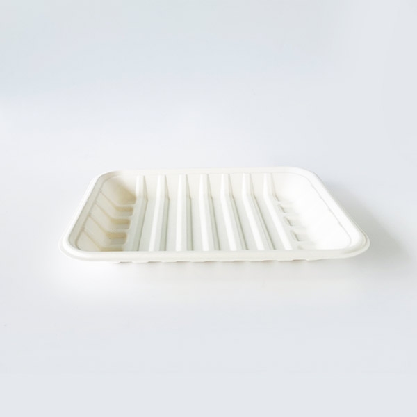 Biodegradable Sugarcane Bagasse Disposable Takeaway Food Tray