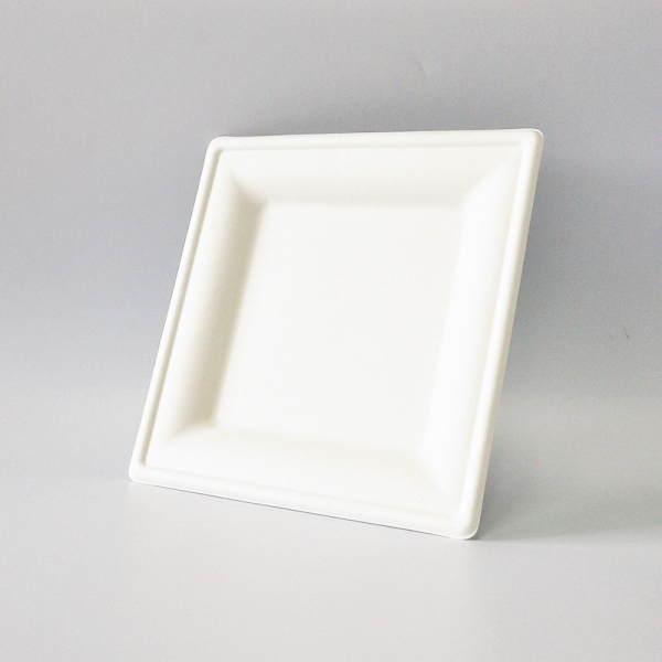 Biodegradable Bagasse Plates Eco Friendly Microwave Safe Sugarcane Compostable Square Plate P034