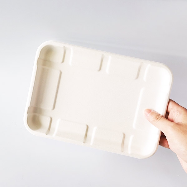 Disposable Biodegradable Sugarcane Bagasse Pulp T025 Trays