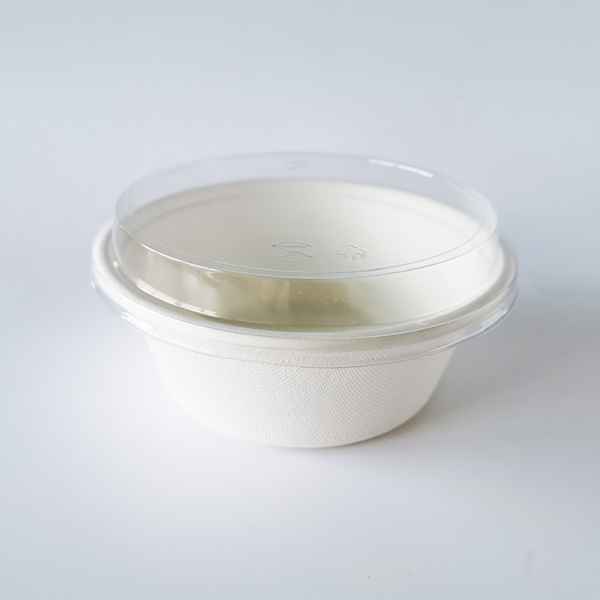 Bagasse Bowl